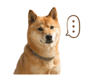 861013419