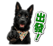861015852