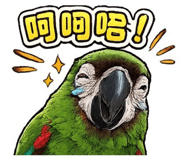 861016846