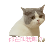 861017669