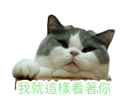 861017670
