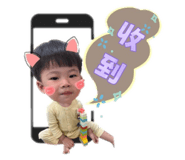861019055