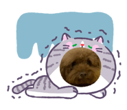 861019319