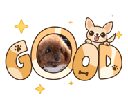 861019320