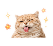 861019788