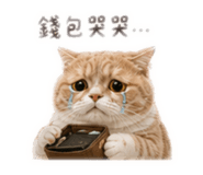 861019790