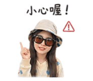 861020806