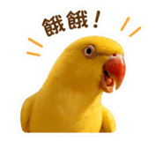 861022024