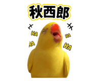 861022027