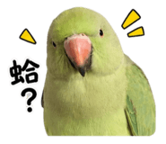 861022031
