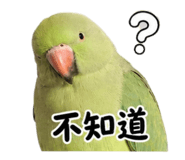 861022032
