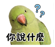 861022033