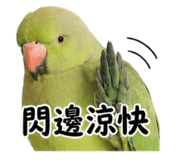 861022036