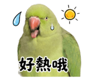 861022037