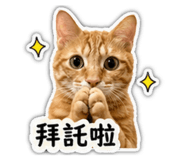 861023251