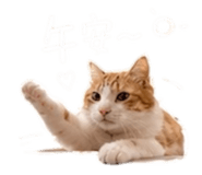 861023989