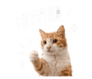 861023996