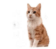 861023999