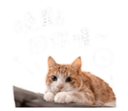 861024005