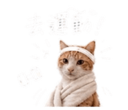 861024007