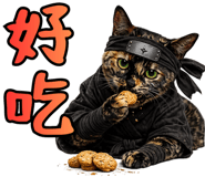 861037767