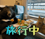 861037904