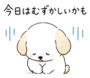 861038125