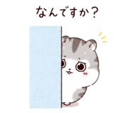 861038211