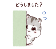 861038212