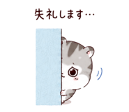 861038227
