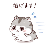 861038240