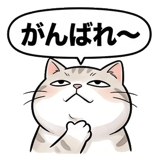 861038540