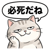 861038554