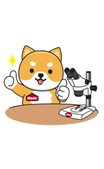 861038729