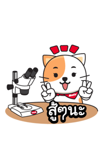 861038736