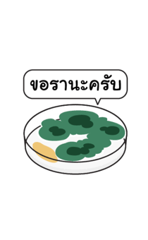 861038743