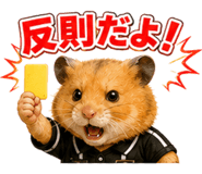 861039685