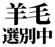 861041035