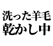 861041036