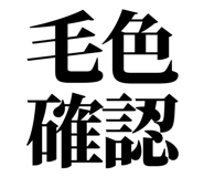 861041538