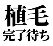 861041556