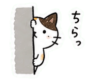 861041698