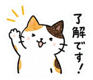 861041705