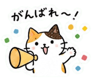 861041712