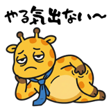 861044243
