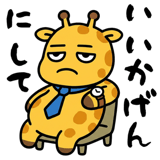 861044260