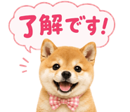 861050105