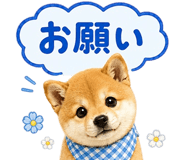 861050113