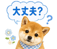 861050117