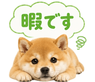 861050121